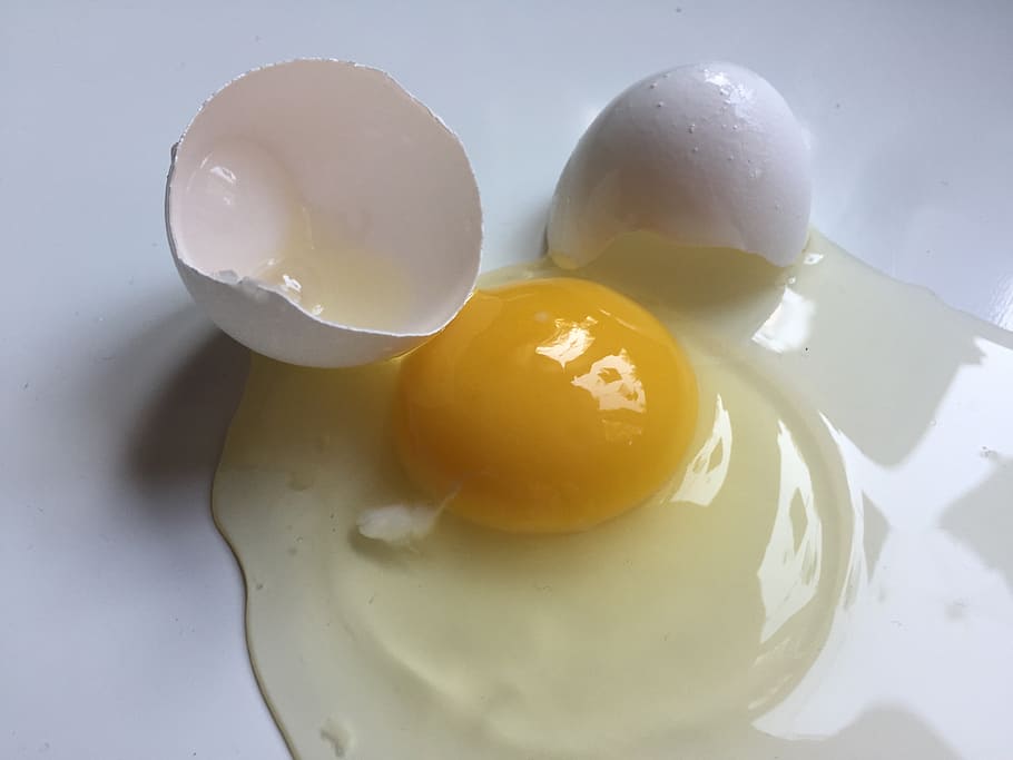 egg, broken egg, white egg, egg yolk, food, food and drink