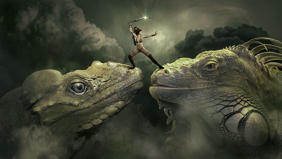 woman holding sword standing on two reptiles, Fantasy, Dragons