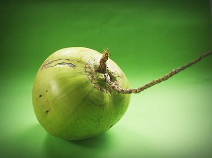 HD wallpaper: coconut, green, white, fruit, background, milk, fresh ...