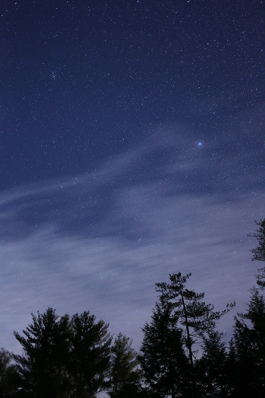 clouds, galaxy, nature, night, sky, stars, summer, trees, star - space HD wallpaper