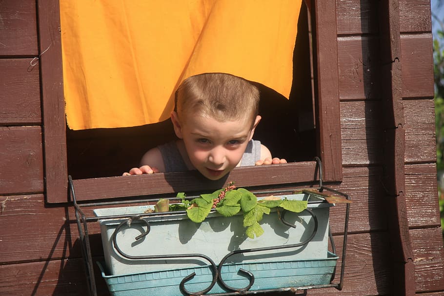 Child, Window, Yellow, Cuckoo, guy, curious, one person, door HD wallpaper