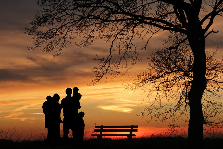 HD wallpaper: silhouette of family standing near bench and bare tree during  sunset | Wallpaper Flare