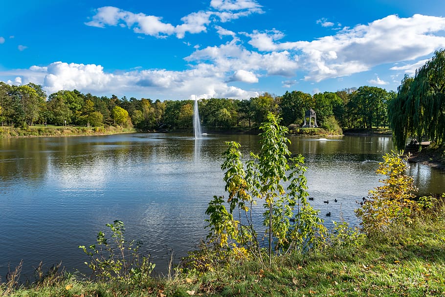 lake, park, magdeburg, water, pond, trees, plant, green, fountain, HD wallpaper