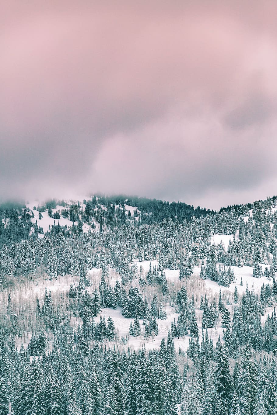 aerial photo of mountain covered by snow, winter, white, cold HD wallpaper