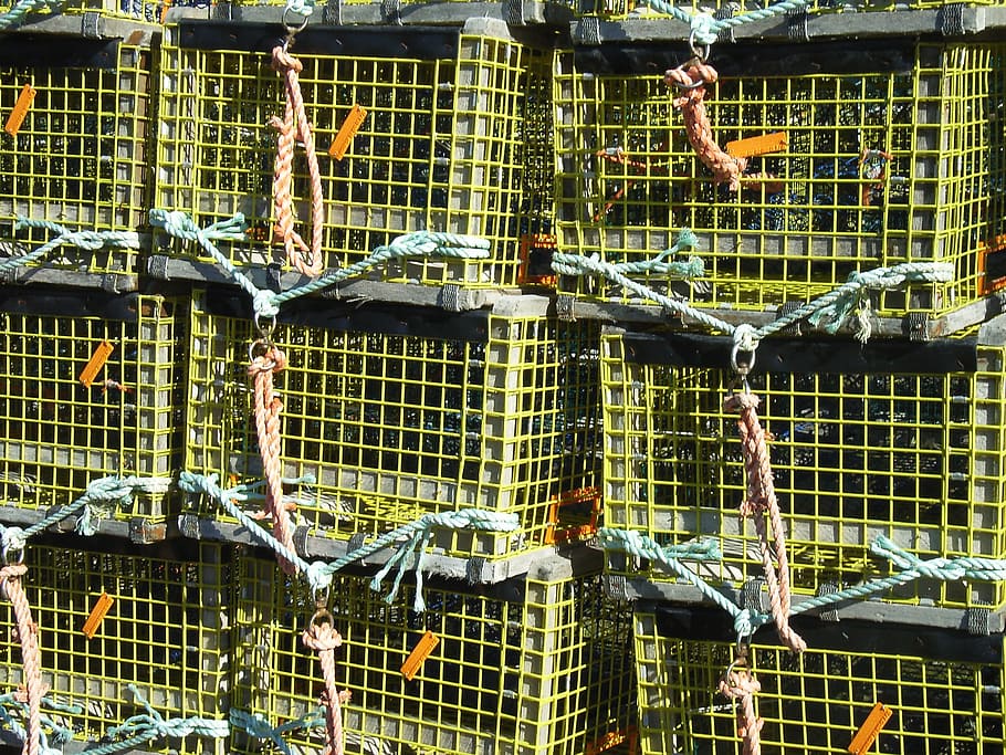 traps, pots, lobster, catch, fishing, ocean, food, fisherman HD wallpaper