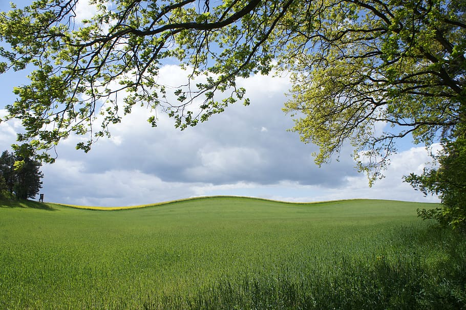 field, clouds, hill, landscape, spring, uckermark, plant, tree HD wallpaper