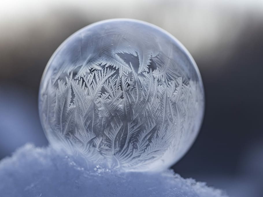 shallow focus photography of clear water globe, frozen bubble during daytime HD wallpaper