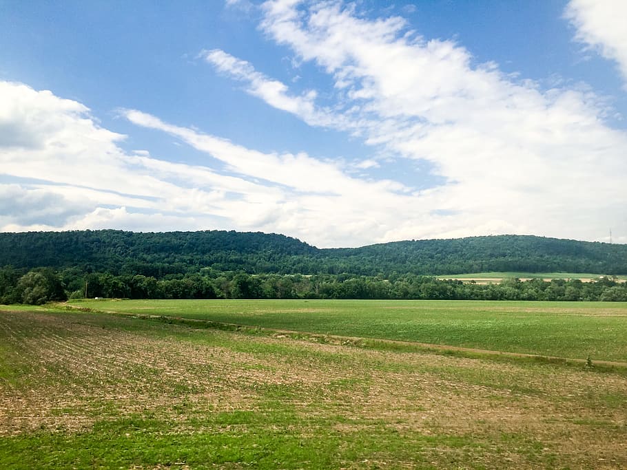 Landscape Over Blue Sky, clouds, field, forest, grass, trees, HD wallpaper