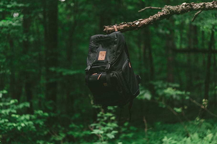 black backpack on tree branch, selective focus photography of black backpack hanging on brown tree branch during daytime HD wallpaper