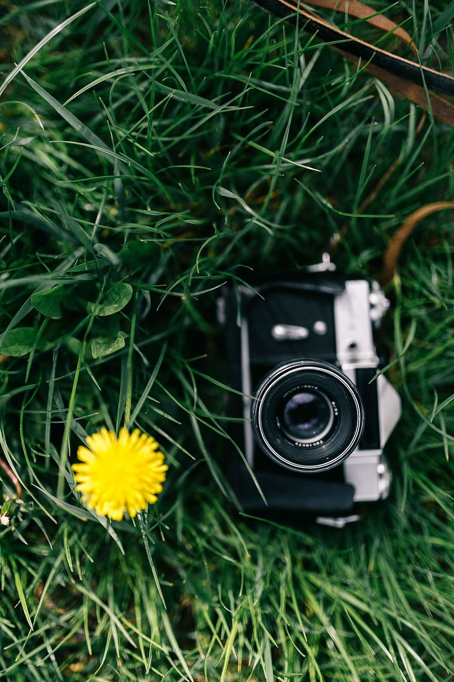 Woman with vintage camera in the field of blooming rapes, summer, HD wallpaper