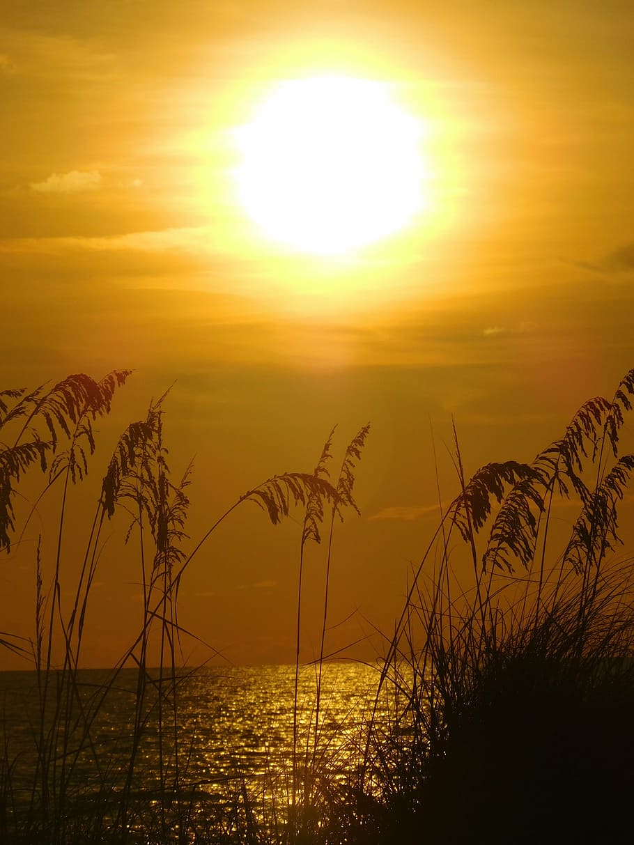 sunset, ocean, sky, nature, beach, evening, beauty in nature HD wallpaper