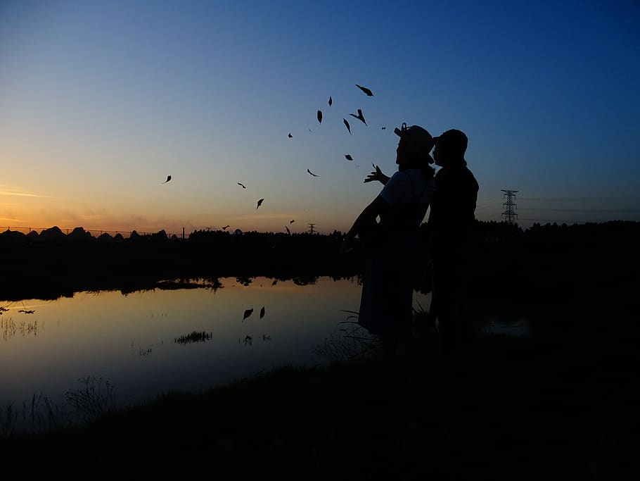 silhouette, twilight, reflection, beautiful, sky, sunset, nature HD wallpaper
