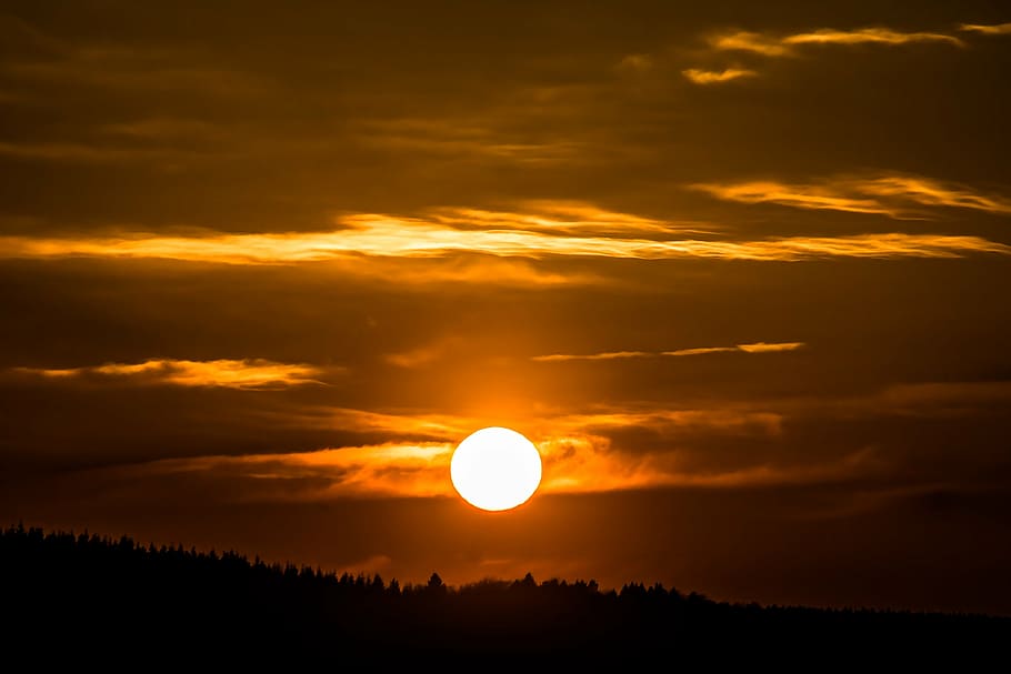 silhouette of trees at sunset, clouds, bright cloud, abendstimmung HD wallpaper