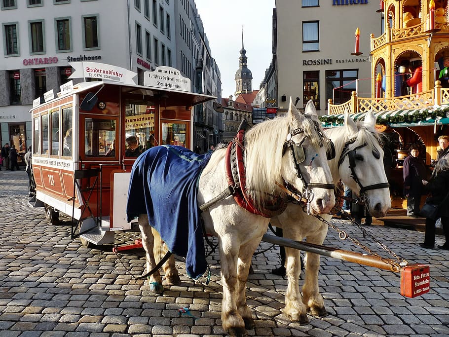 Horse Drawn Carriage, Carriage Rides, neumarkt, wagon, team, means of transport, HD wallpaper