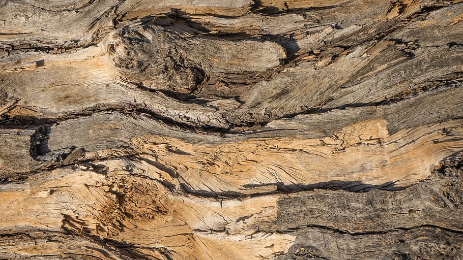 brown wood, background, bark, design, layer, texture, trunk, stump, HD wallpaper