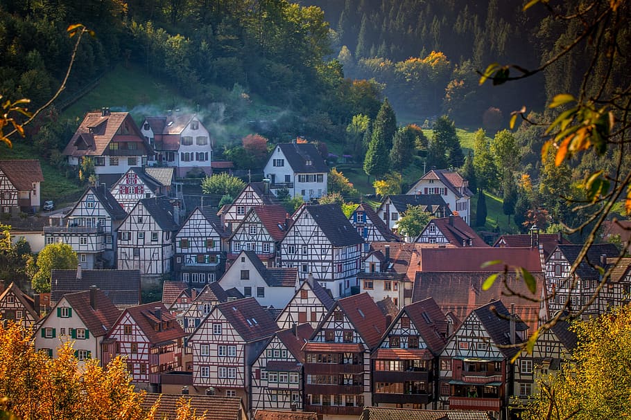 aerial photography of buildings surrounded trees, schiltach HD wallpaper