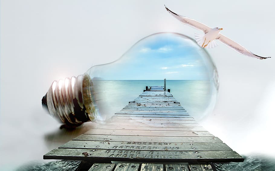 clear light bulb and gray wooden ocean dock illustration, seagull HD wallpaper