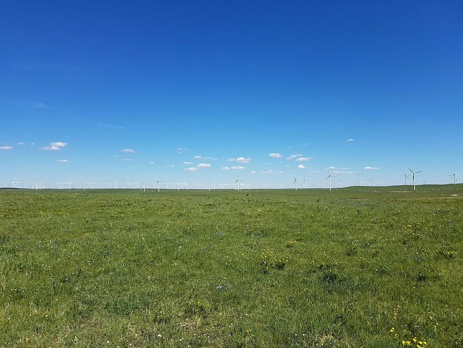 blue sky, fresh air, cloud, environment, landscape, field, plant HD wallpaper