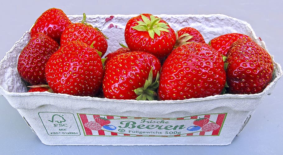 Strawberries, Shell, Fruit, soft fruit, summer, fruity, frisch, HD wallpaper
