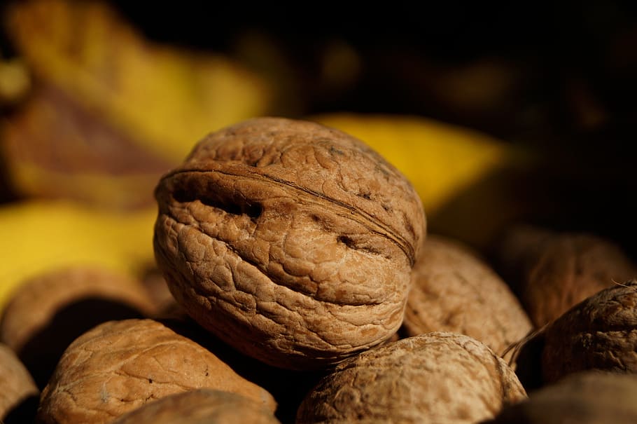 walnut, crop, brown, stone, food, fruit, healthy, autumn, nature HD wallpaper