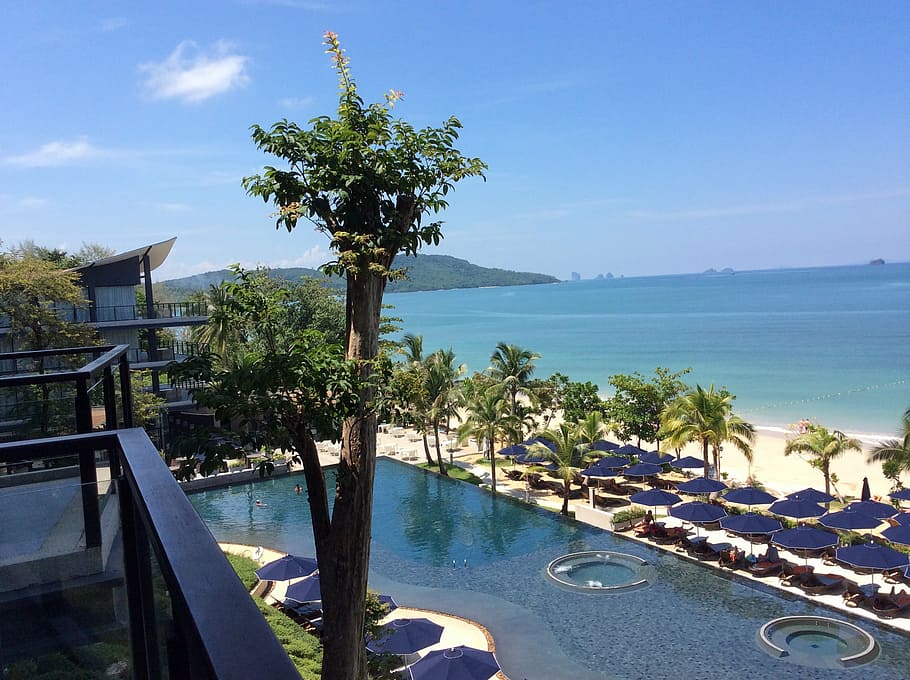 krabi, beyond, sea, beach, summer, tree, coastline, nature HD wallpaper