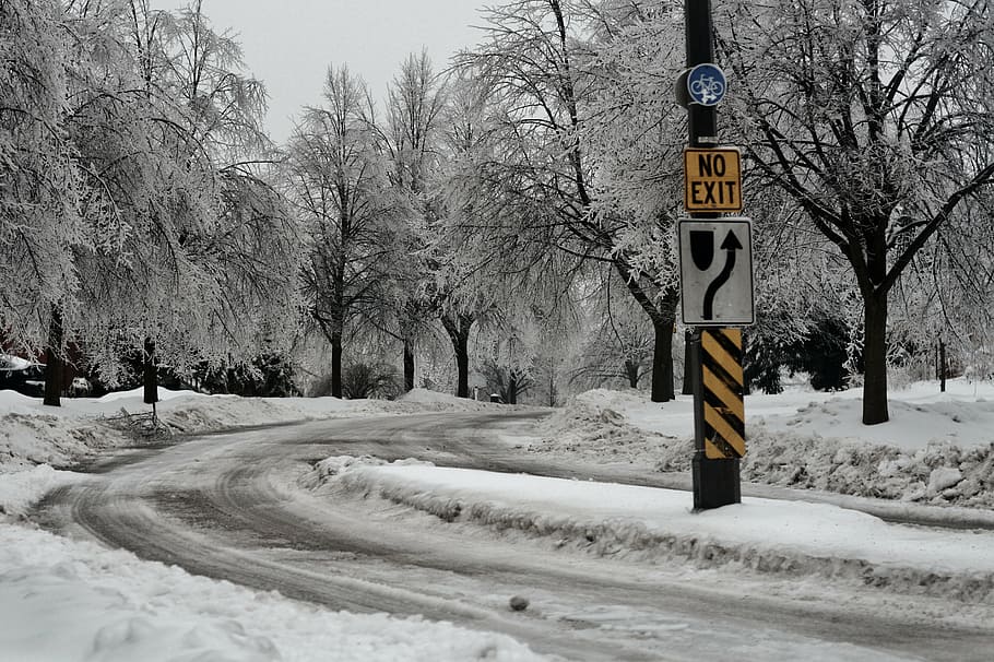 snow, ice, storm, street, frozen, trees, cold temperature, winter HD wallpaper