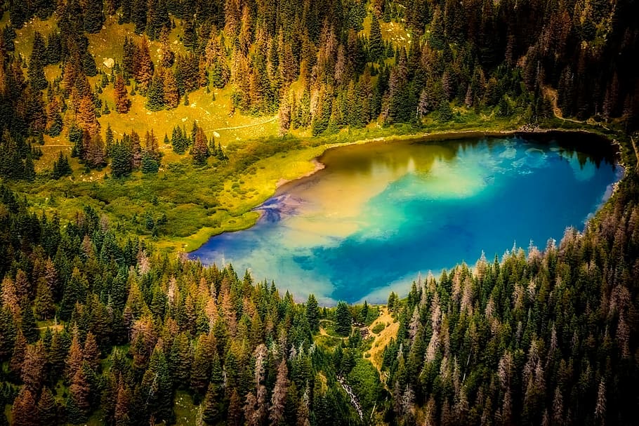 aerial photography of body of water surround by trees, landscape HD wallpaper