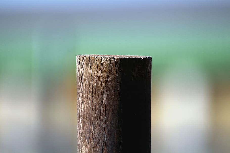 close-up of brown wood post, Wood Pile, Grain, Structure, nature HD wallpaper