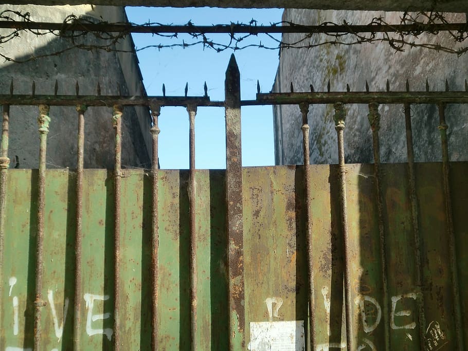 fence, imprisoned, barbed wire, stainless, pointed, metal, wood - Material HD wallpaper