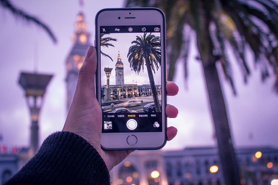 person holding iPhone, picture, camera, tree, cellphone, smartphone HD wallpaper