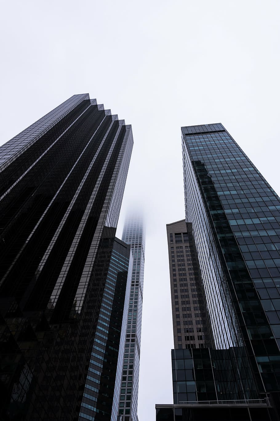 low-angle photography of high-rise buildings at daytime, black HD wallpaper
