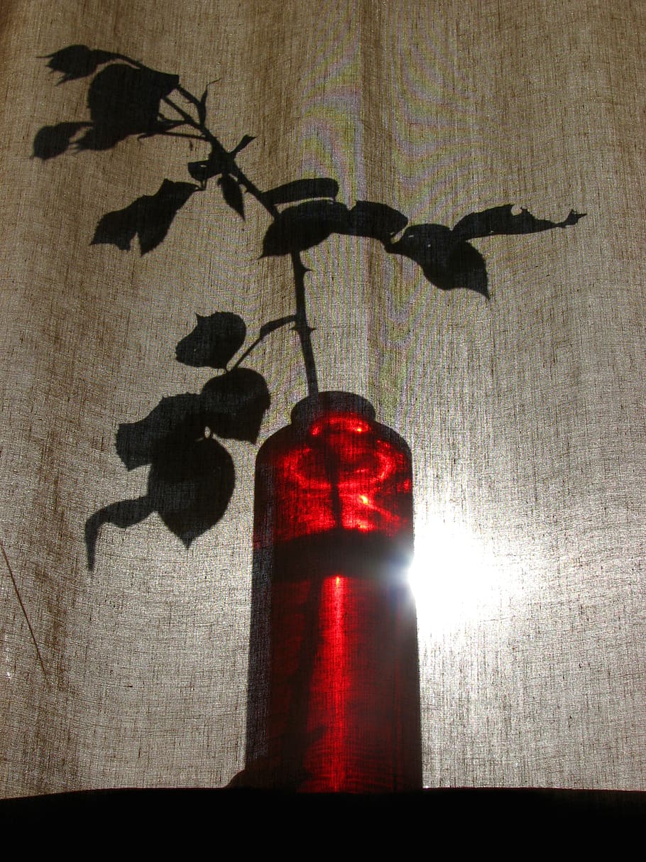 curtain, vase, red, light, shadow, veiled, shroud, mysterious HD wallpaper