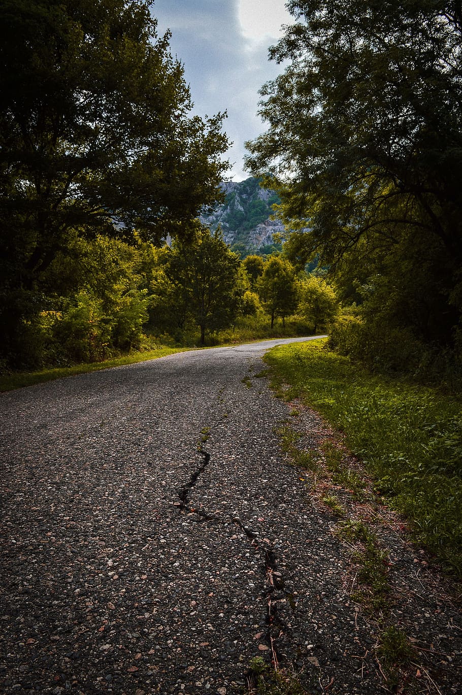 road, mountain, trees, sunlight, travel, landscape, nature HD wallpaper