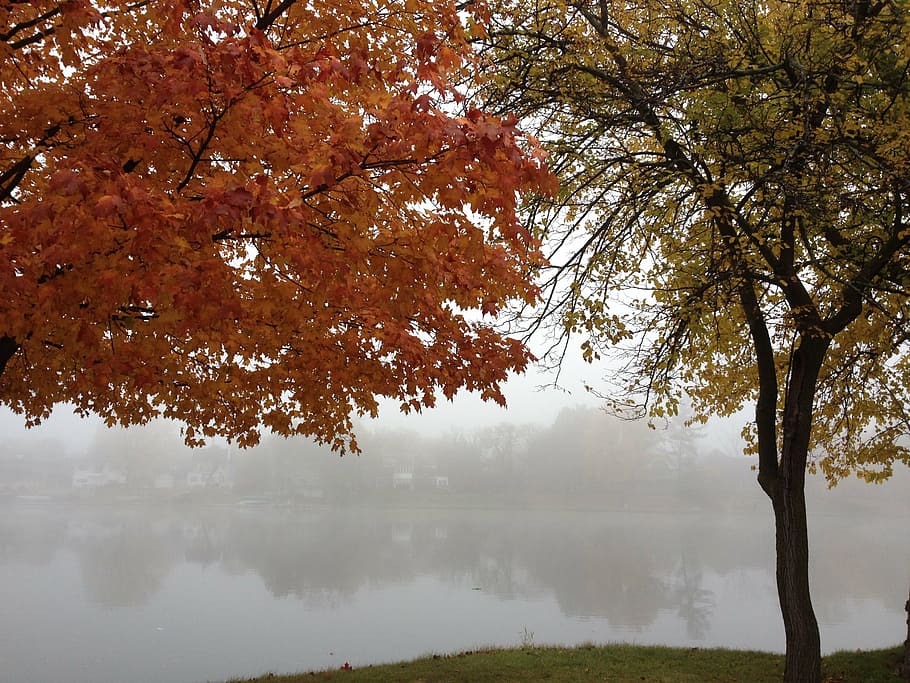 river, fall, trees, landscape, nature, water, scene, natural HD wallpaper