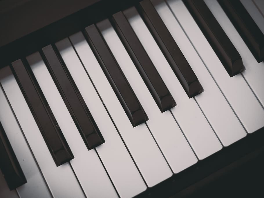 black and white electric keyboard, piano, music, musical, instrument, HD wallpaper