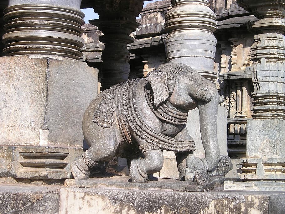 elephant statue beside pillar, India, Elephant, Stone, Temple HD wallpaper