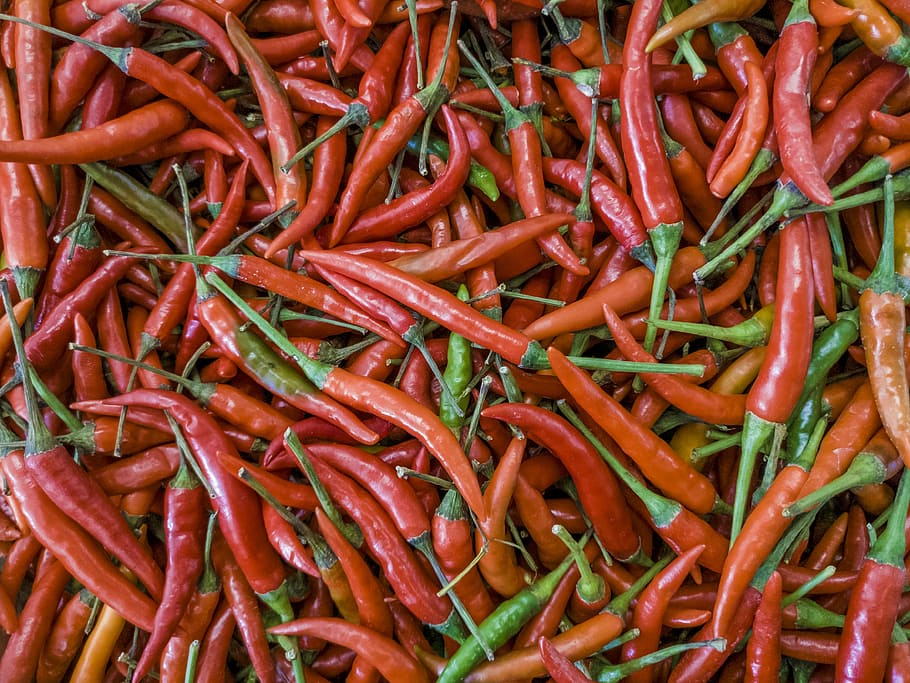 chili, pepper, red, food, vegetable, freshness, spice, chili Pepper HD wallpaper