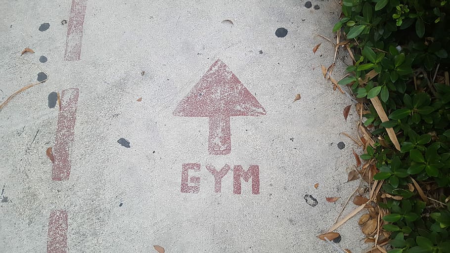 gym road signage, Gym arrow sign beside green leaves, direction HD wallpaper