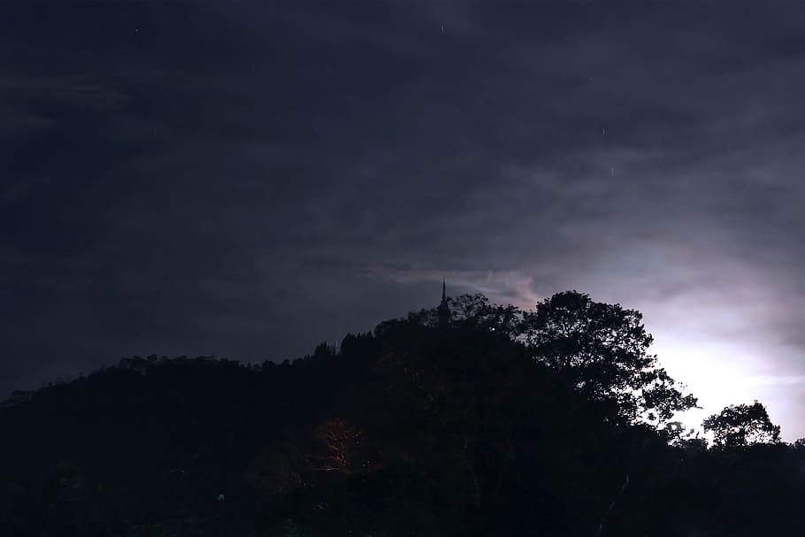 silhouette of trees on hill, Moon, Light, Night, sky, moonlight HD wallpaper