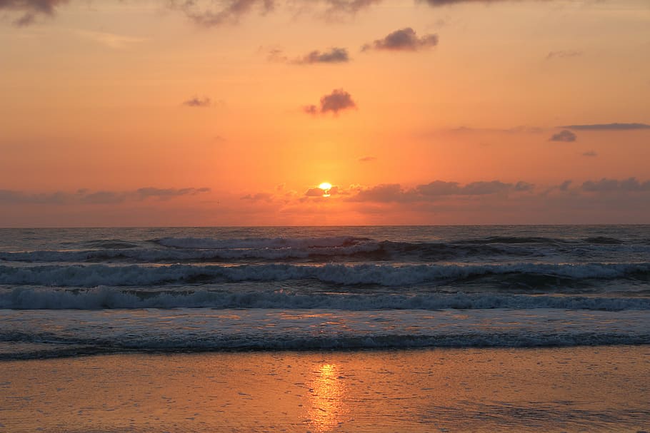 sunset at the beach, ocean, tropical, water, sea, nature, wave HD wallpaper