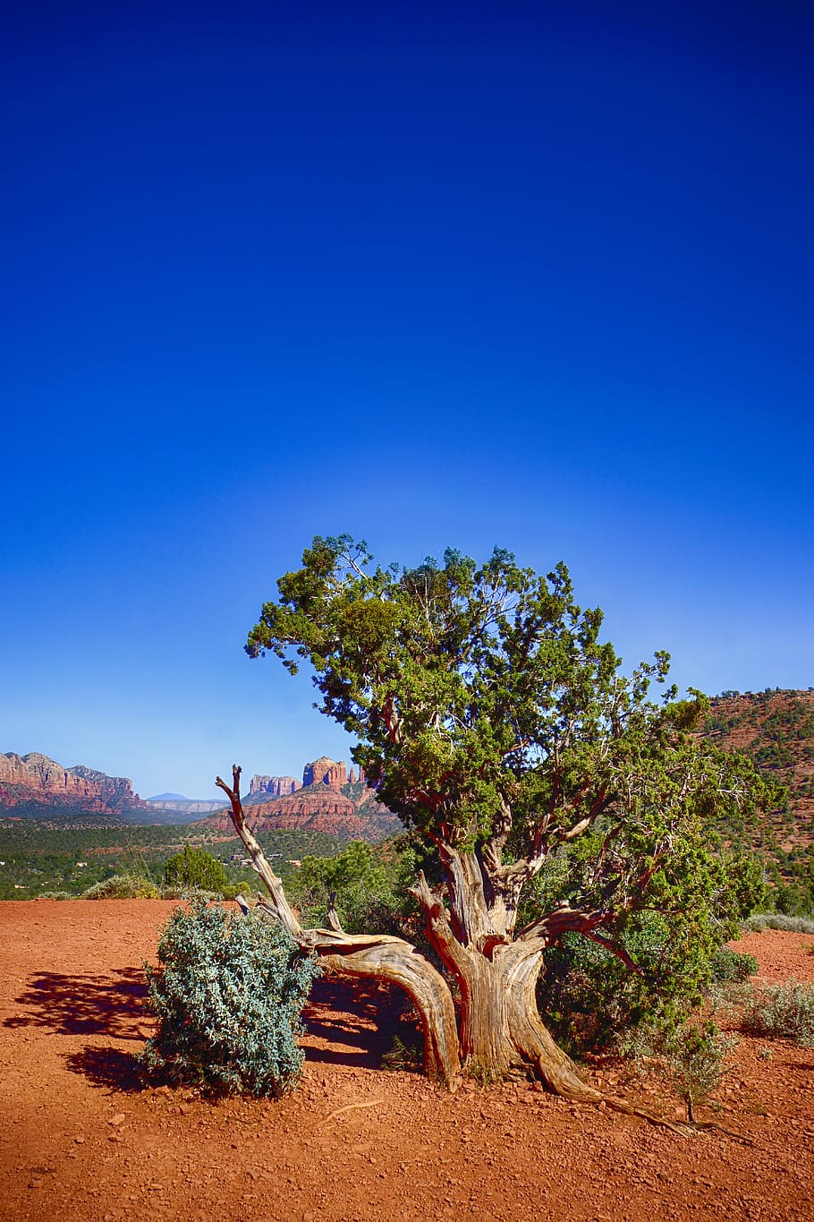 landscape, nature, sky, sand, daylight, desert, environment, mountain HD wallpaper