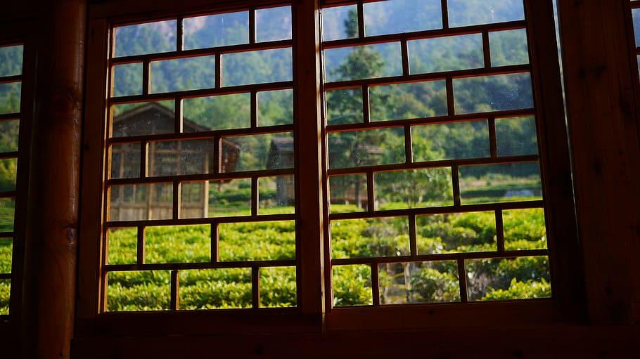 tea house, window, green, glass - material, indoors, transparent HD wallpaper