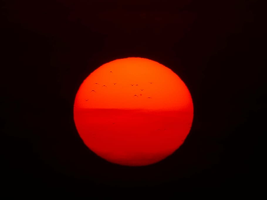 untitled, sun, fireball, birds, red, sunset, nature, solar disk HD wallpaper