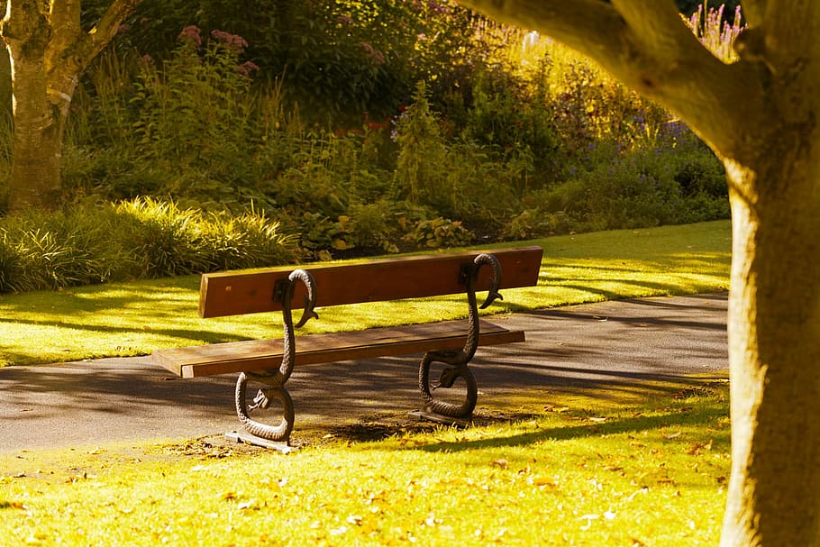 Autumn, Bench, Fall, Gold, Grass, Leaves, morning, nature, nobody HD wallpaper