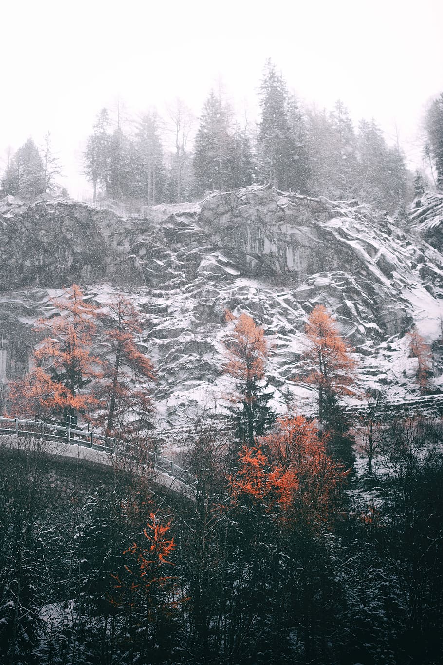 snow covered mountain, assorted trees on edge of snowy hills HD wallpaper
