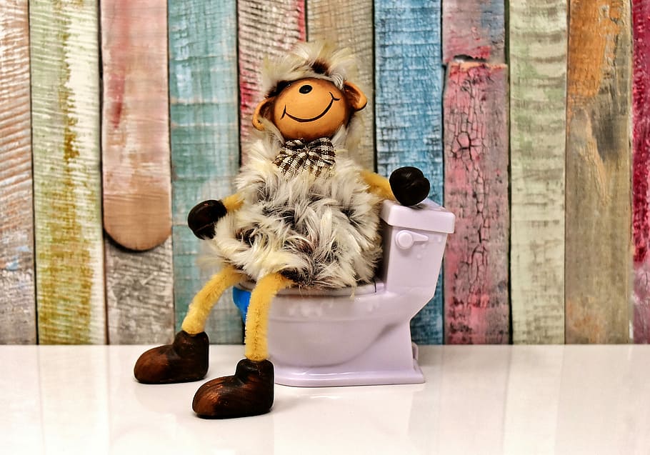 brown animal plush toy sitting on purple flush toiler, toilet HD wallpaper