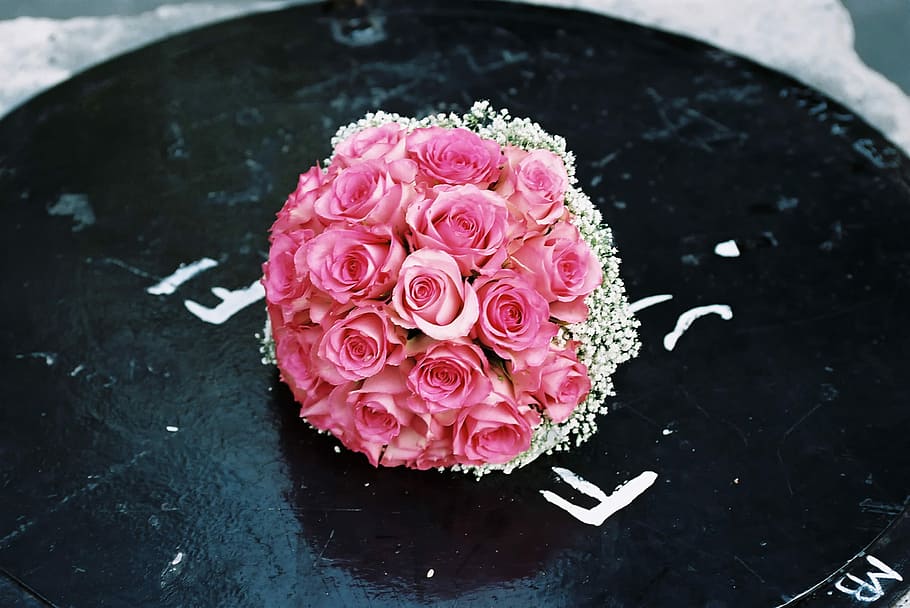 flower, wedding, love, pink color, beauty in nature, rose, flowering plant HD wallpaper