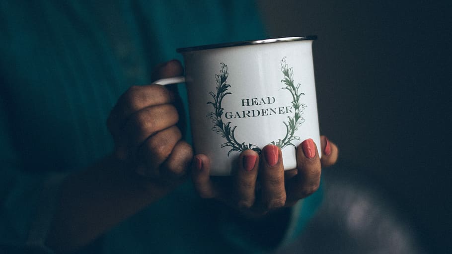 person holding white Head Gardener mug, blue, cups, gray, hands HD wallpaper