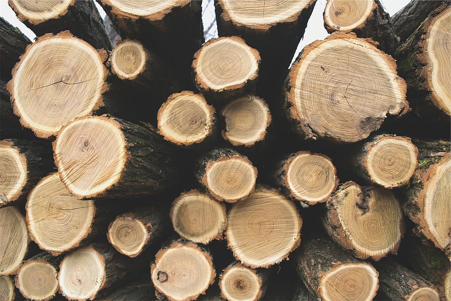pile of log, logs, timber, lumber, wood, logging, trees, forestry HD wallpaper