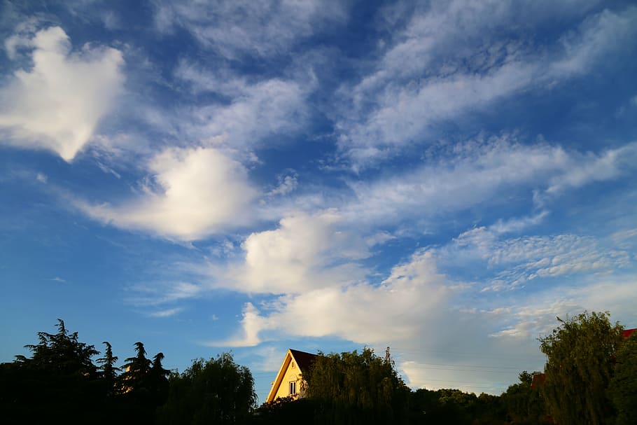 sky, white cloud, the scenery, nature, cloud - sky, tree, plant HD wallpaper